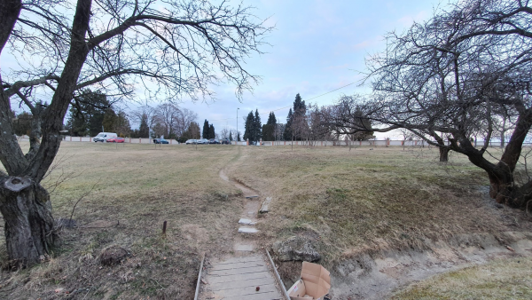 Lesopark před řečkovickým hřbitovem