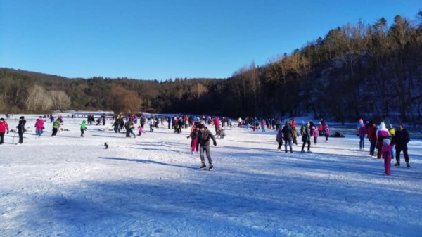 Obnovení Dolního rybníku v Řečkovicích
