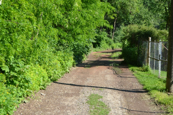 Oprava účelové komunikace NN 163.