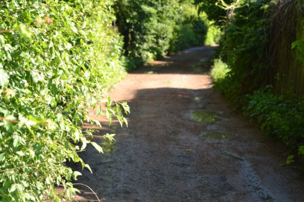 Oprava účelové komunikace NN 163.