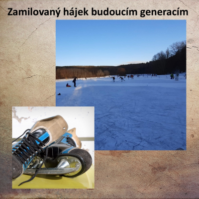 Zamilovaný hájek budoucím generacím