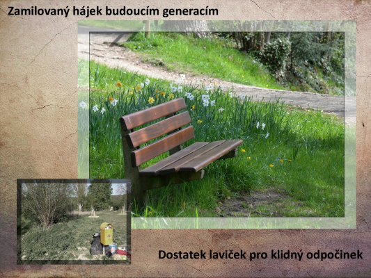 Zamilovaný hájek budoucím generacím