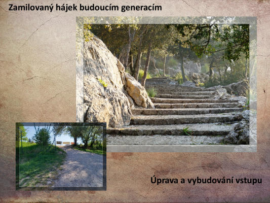 Zamilovaný hájek budoucím generacím