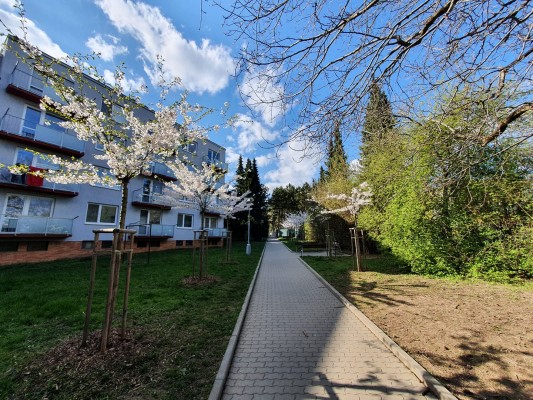 Revitalizace okolí bytových domů Družstevní