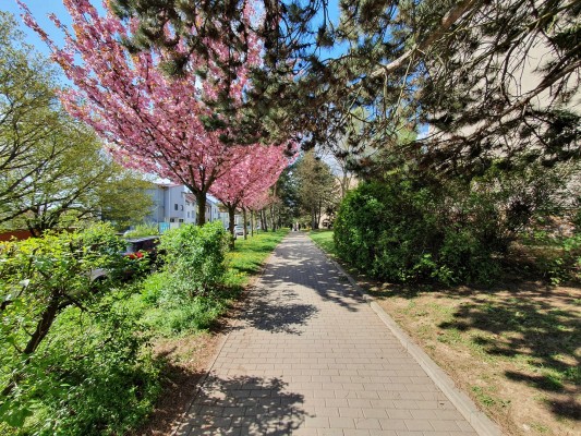 Revitalizace okolí bytových domů Družstevní