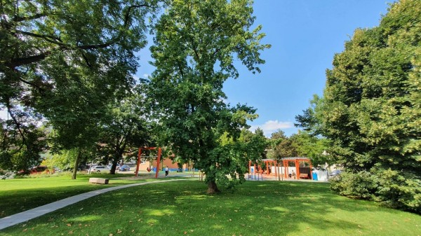 Revitalizace sídelní zeleně v panelovém sídlišti Brno-Řečkovice